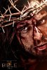 Библия / The Bible (2013)