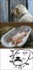 Смешные комиксы