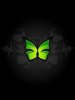 Green Butterfly