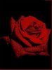 Gothic rose