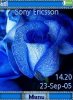 Blue rose