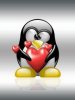 Penguin love