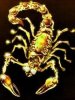 Gold Skorpion