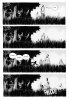 Ходячие Мертвецы. The Walking Dead часть30