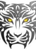 Tiger eyes
