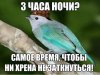 Прикольные интернет-мемы