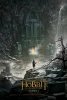 Хоббит: Пустошь Смауга / The Hobbit: The Desolation of Smaug (2013)