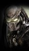 Predator
