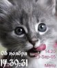 Котёнок