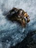 Skyrim