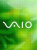 Vaio