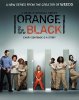 Оранжевый - новый черный (Оранжевый - хит сезона) / Orange Is the New Black (2013-...)