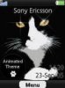 Black Kitty