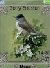 Spring song