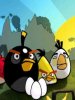 Angry Birds
