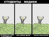Правдивые комиксы про студентов