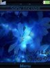 Blue Flowers