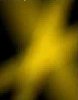 Black yellow