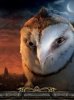 Legend of the Guardians