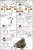 Смешные комиксы