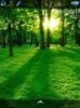 Green park