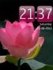 Beauty Of A Lotus
