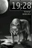 Black Wolf