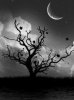 Ecllipse