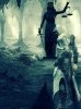 Assassins Creed