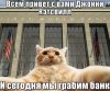 Новый интернет-мем " Джонни Кэтсвилл "