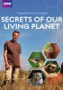 BBC: Как устроена природа / Secrets of Our Living Planet (2012)