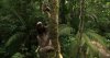 BBC: Как устроена природа / Secrets of Our Living Planet (2012)