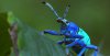 BBC: Как устроена природа / Secrets of Our Living Planet (2012)