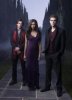Vampire diares