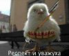Ципа