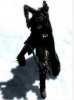 Skyrim
