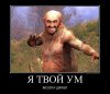 S.T.A.L.K.E.R приколы