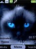 Kitty