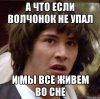 Волчонок