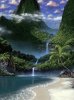 The nature