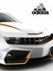 Tachki adidas