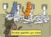 Кошачьи карикатурки