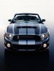 Mustang car