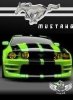 Mustang green