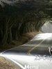 Road