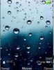 Raindrops