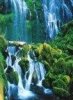 Green paradise