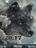 Волк