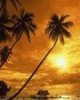 Palm Beach
