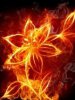 Fire color